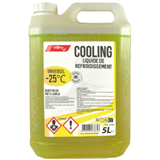 Liquide de refroidissement -25° 5L